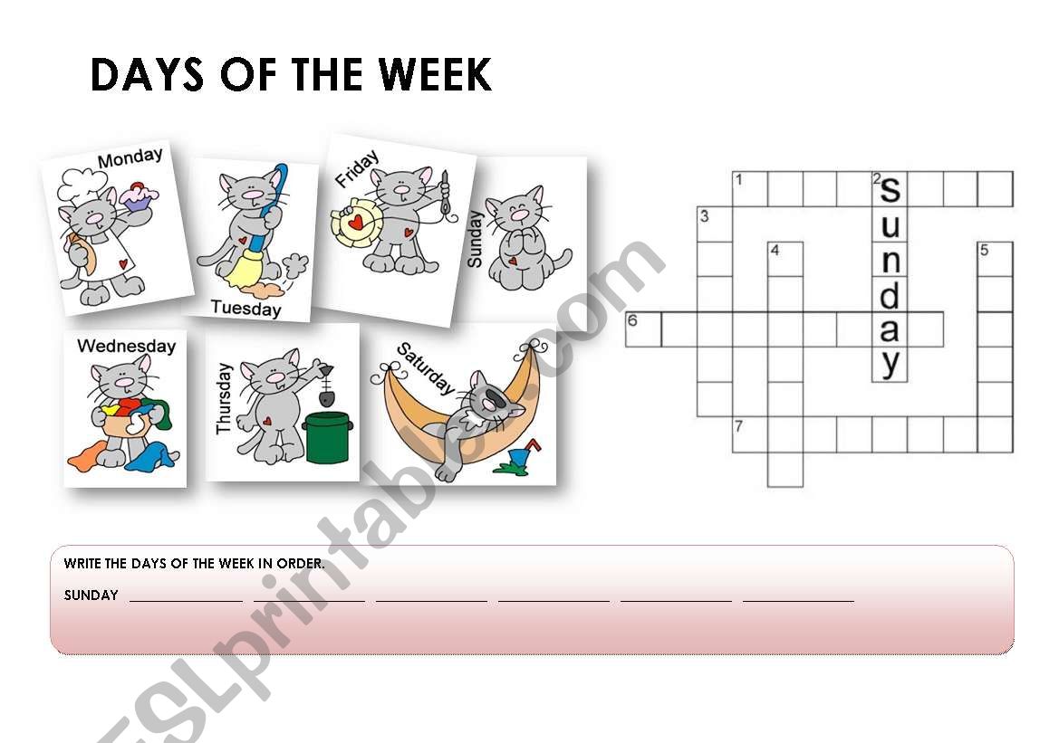 DAYS OF THE WEEK worksheet