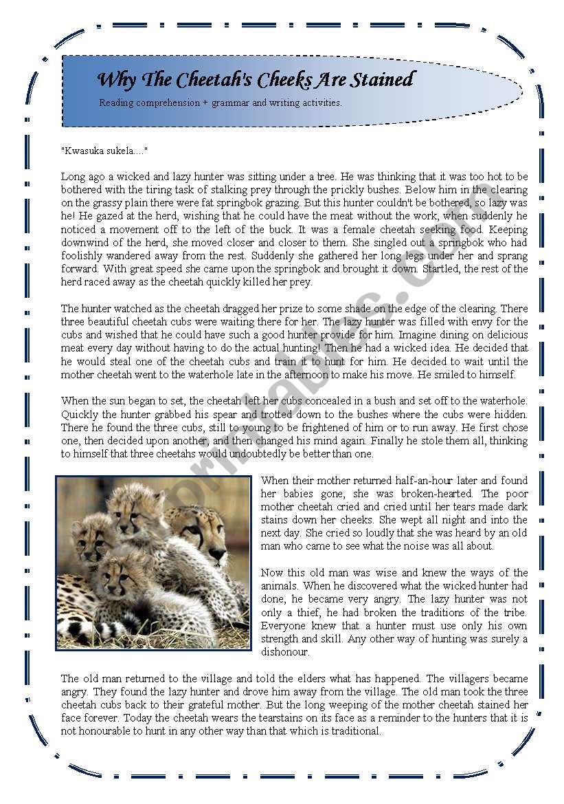 Reading comprehension + grammar and writing exercise : Why the cheetahs cheeks are stained