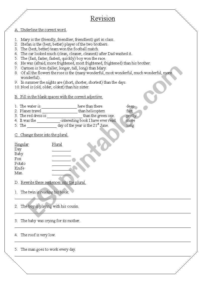 Adjective and Plural Revision worksheet