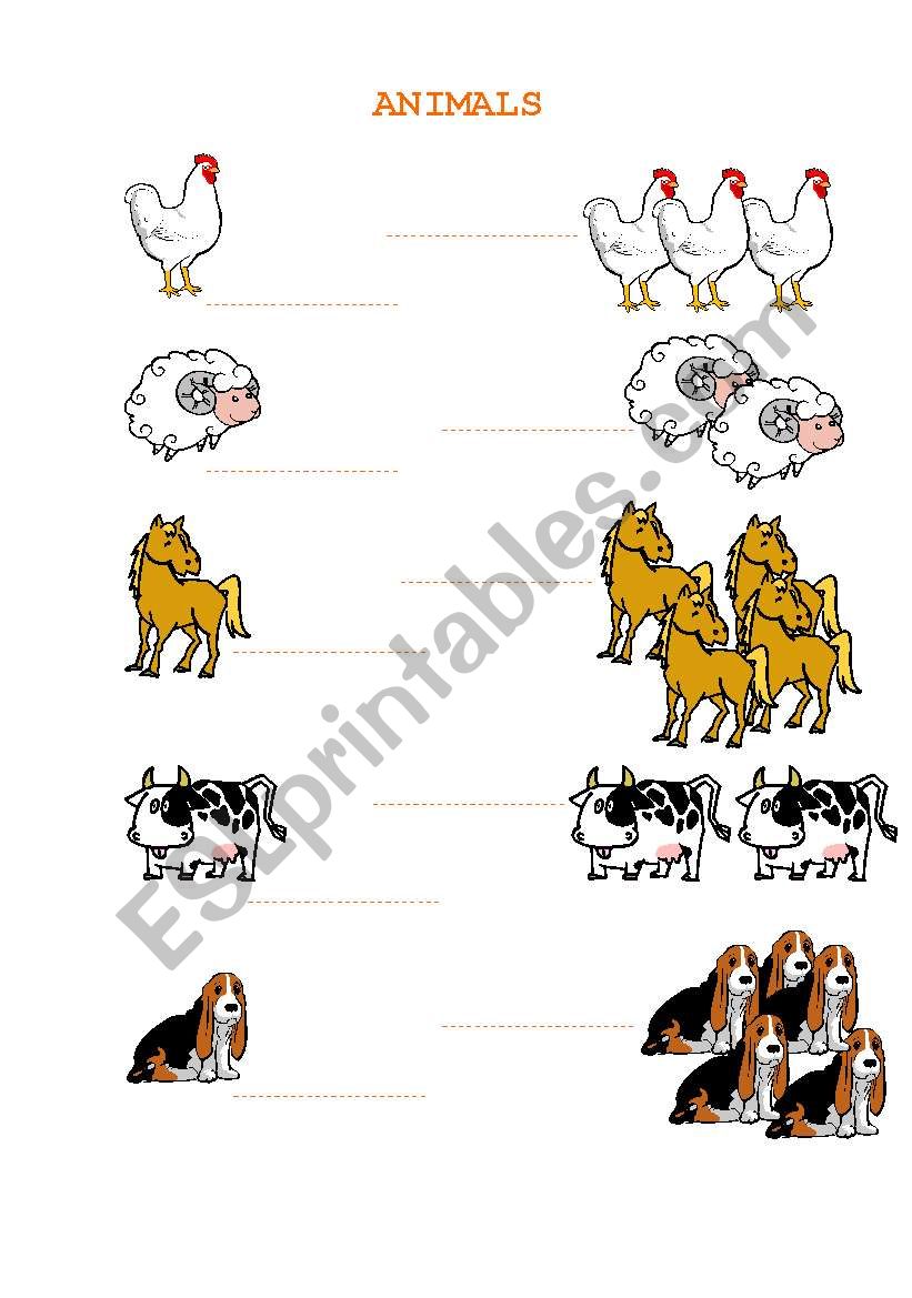 Animals worksheet