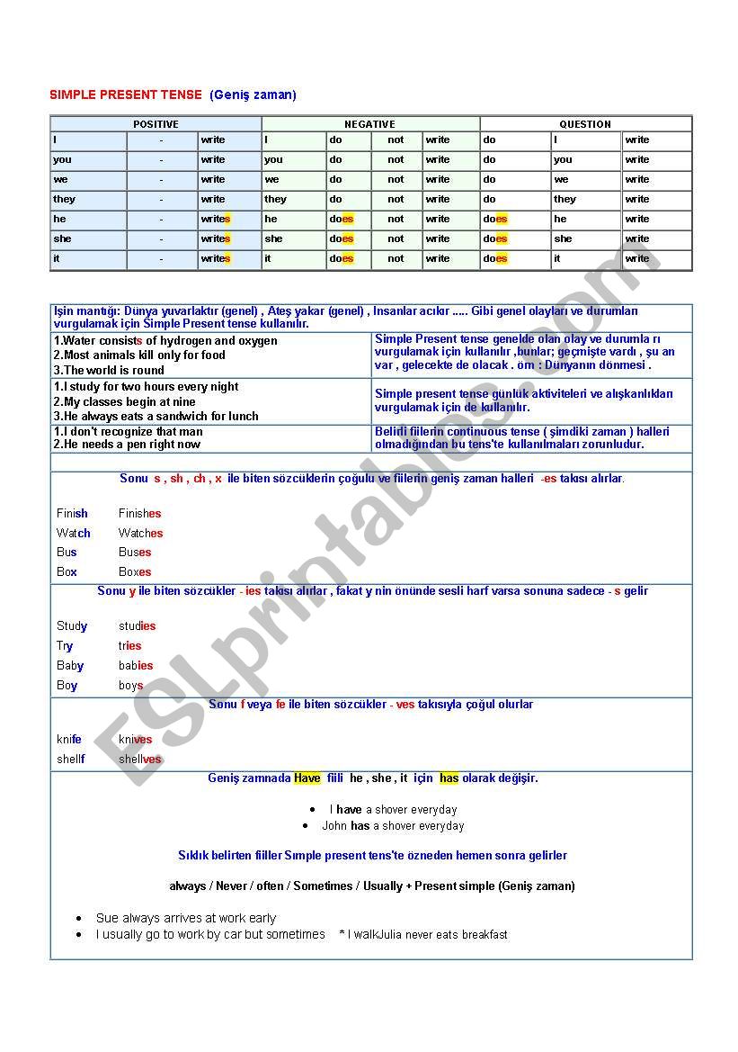 simple present tense worksheet