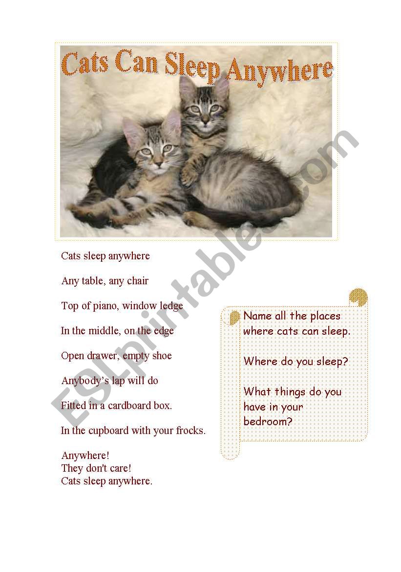 Cats Can Sleep Anywhere- A Poem