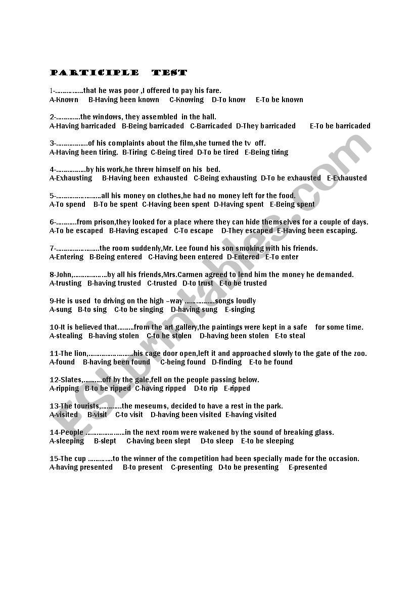 PARTICIPLE worksheet