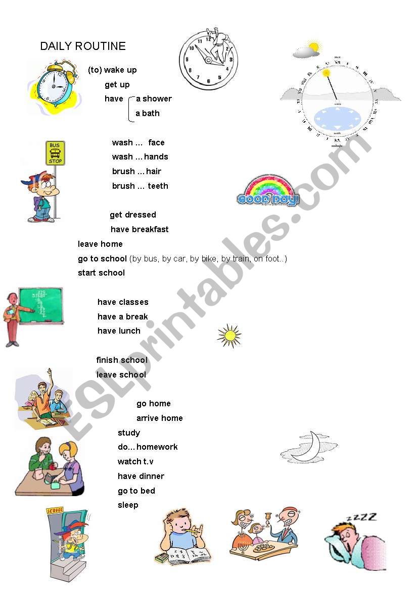 daily routine verbs esl worksheet by conceicao sousa