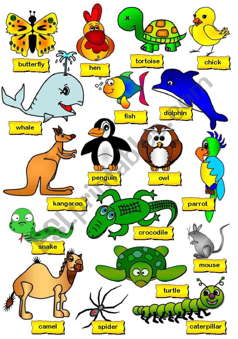 Animal Pictionary (2/2) worksheet