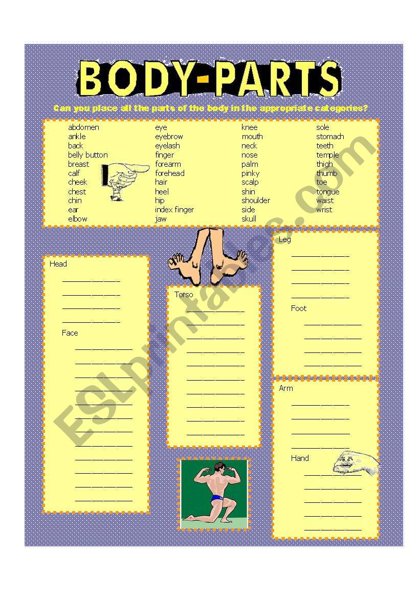 Body parts (color) worksheet