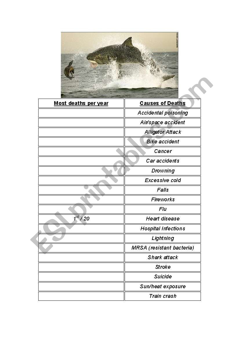 Shark Attack Stats worksheet