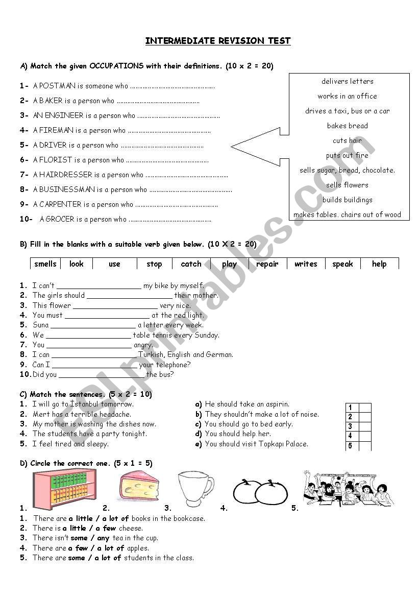 INTERMEDIATE REVISION TEST worksheet