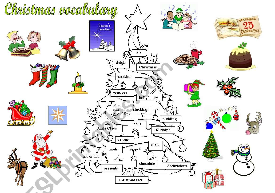 Christmas tree vocabulary worksheet