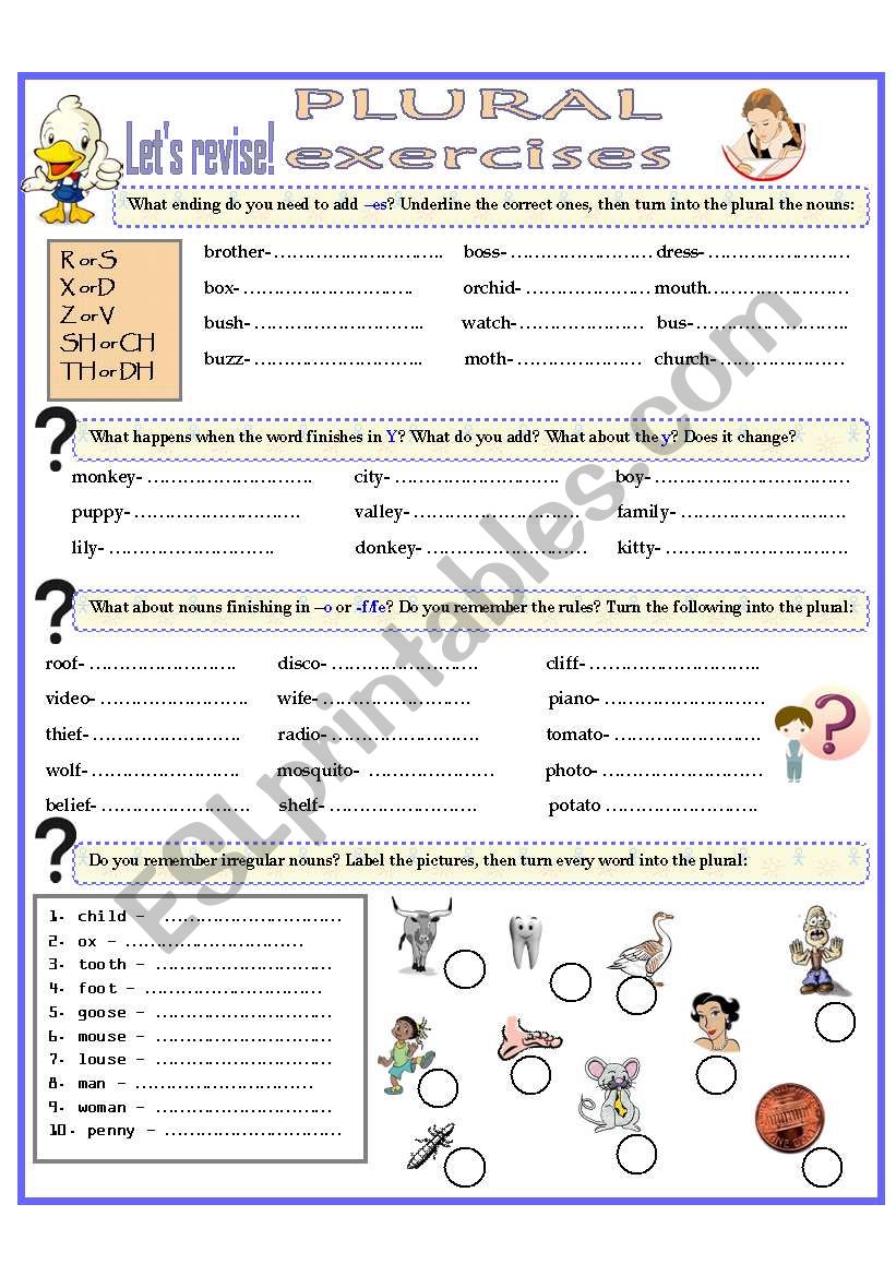 PLURAL EXERCISES worksheet