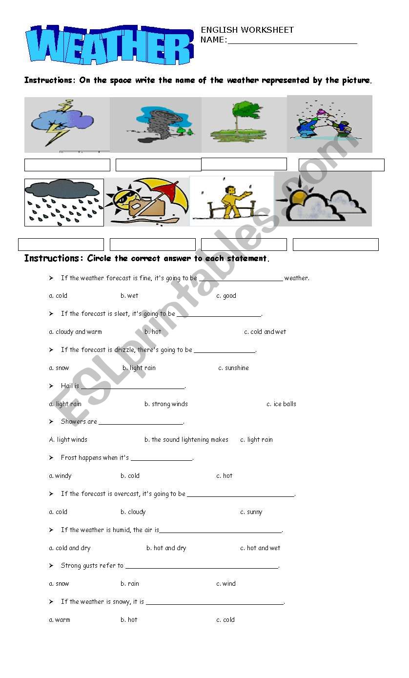 WEATHER WORKSHEET worksheet