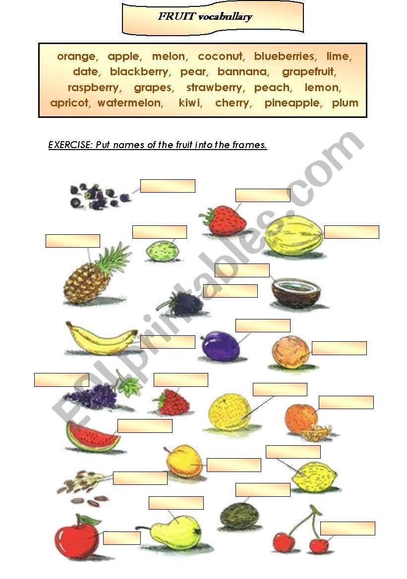 Fruit vocabulary - ESL worksheet by chrabonsc