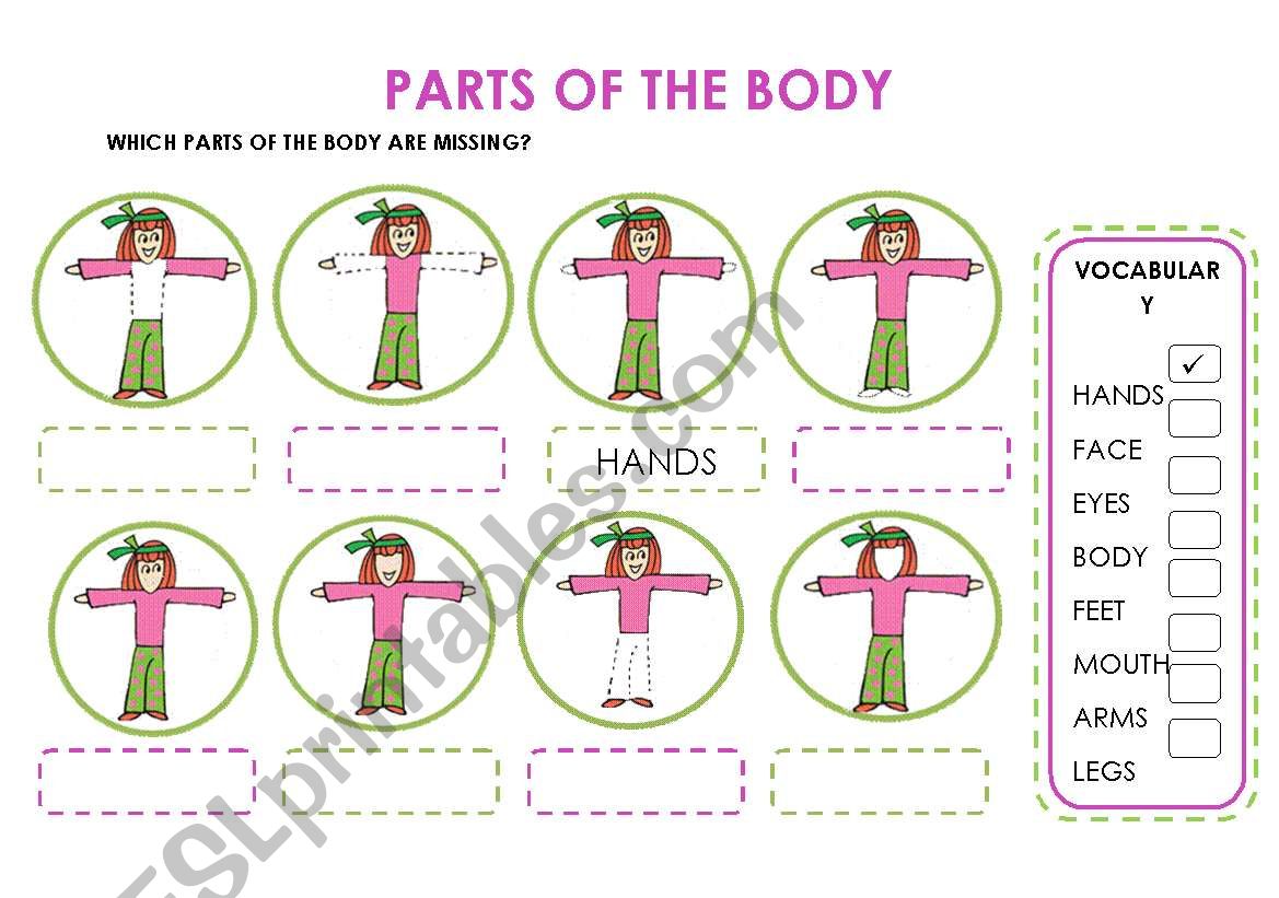 PARTS OF THE BODY worksheet