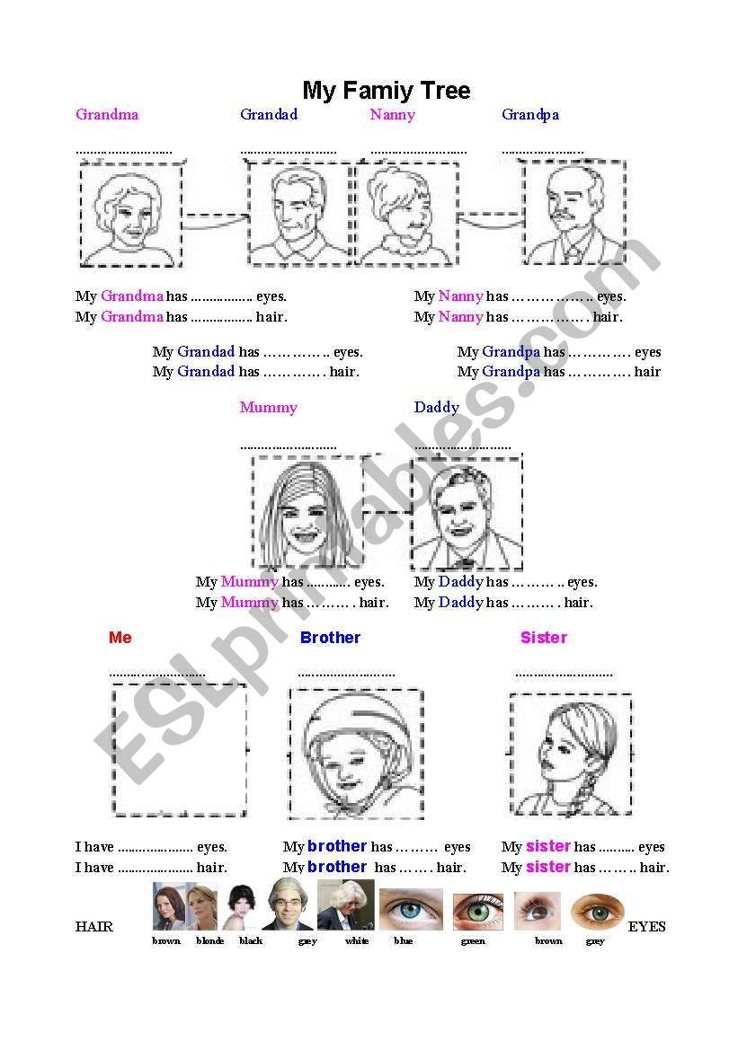 Work Sheet - My Family Tree - Names and hair/eye colour