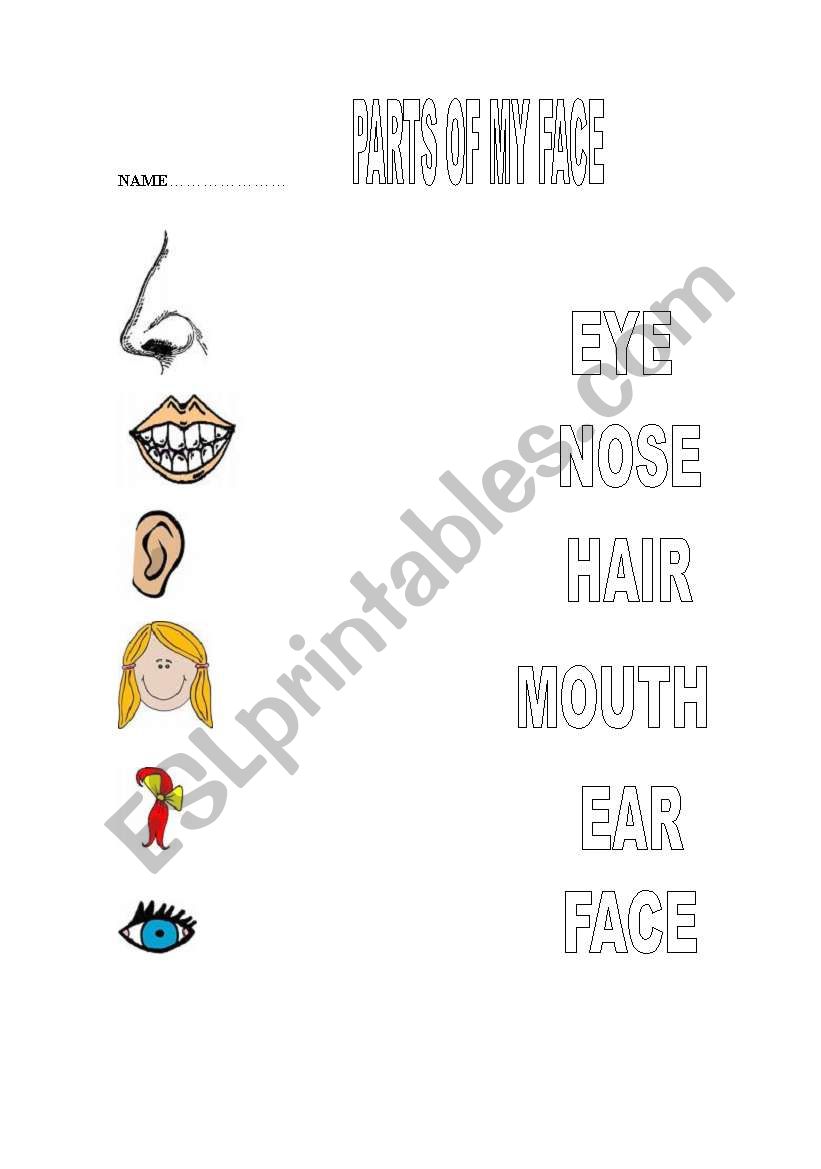 Parts of my face worksheet