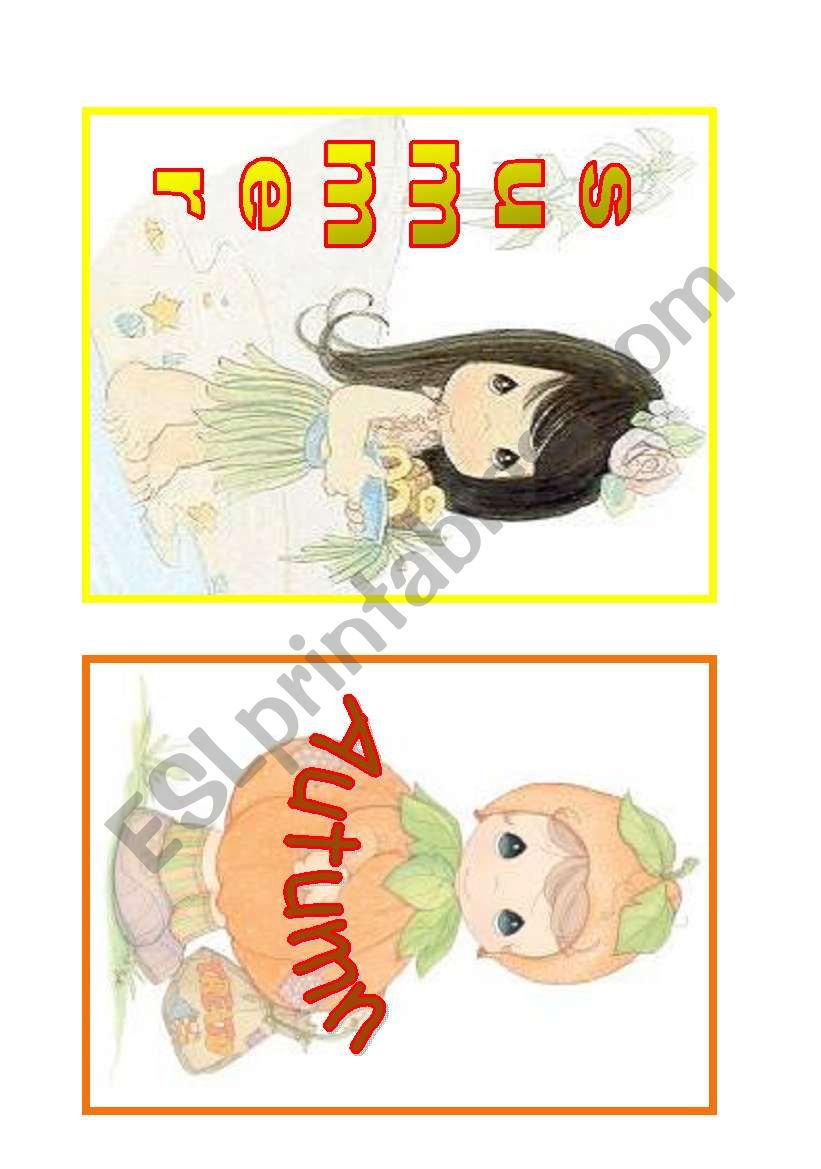 seasons Flash Cards worksheet