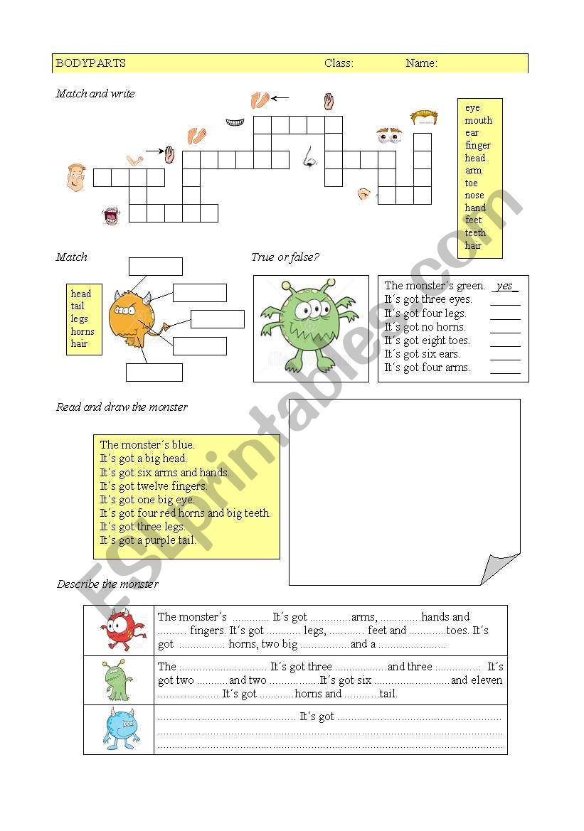 Parts of the body + have got worksheet