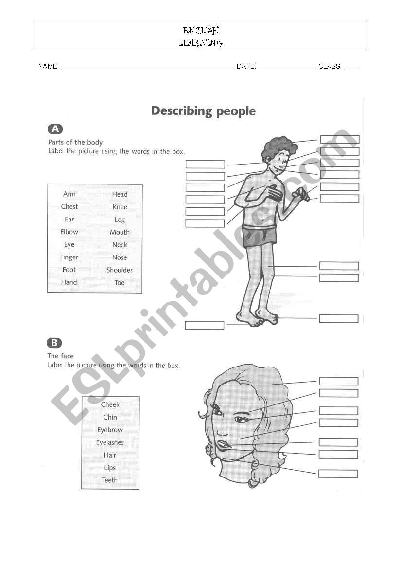 Describing people worksheet