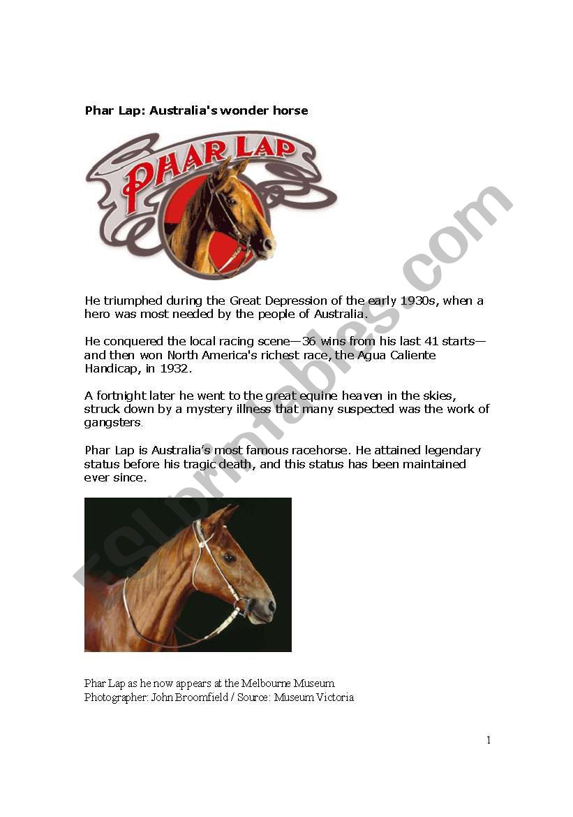 Phar Lap - the wonder horse of Australia