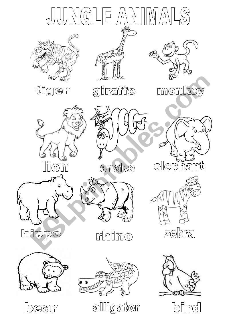 coloring-page-wild-jungle-animals-21114-animals-printable