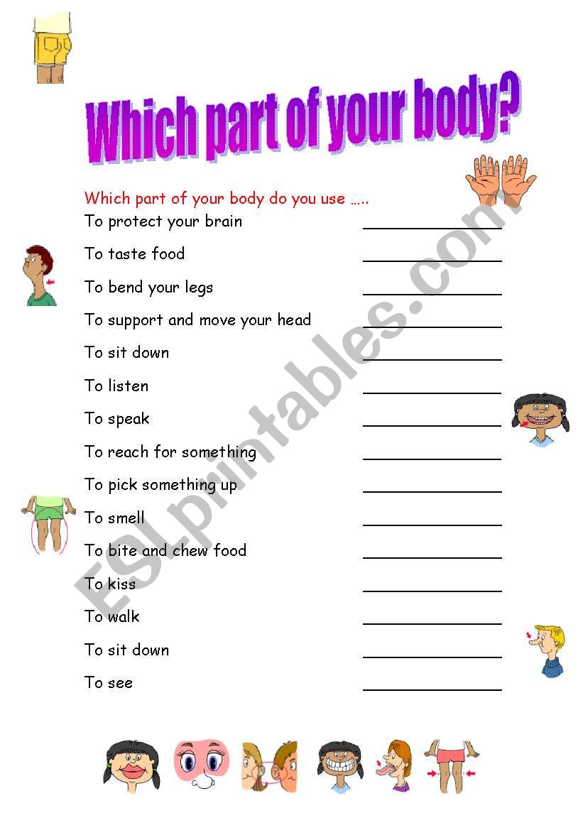 Which part of your body? worksheet