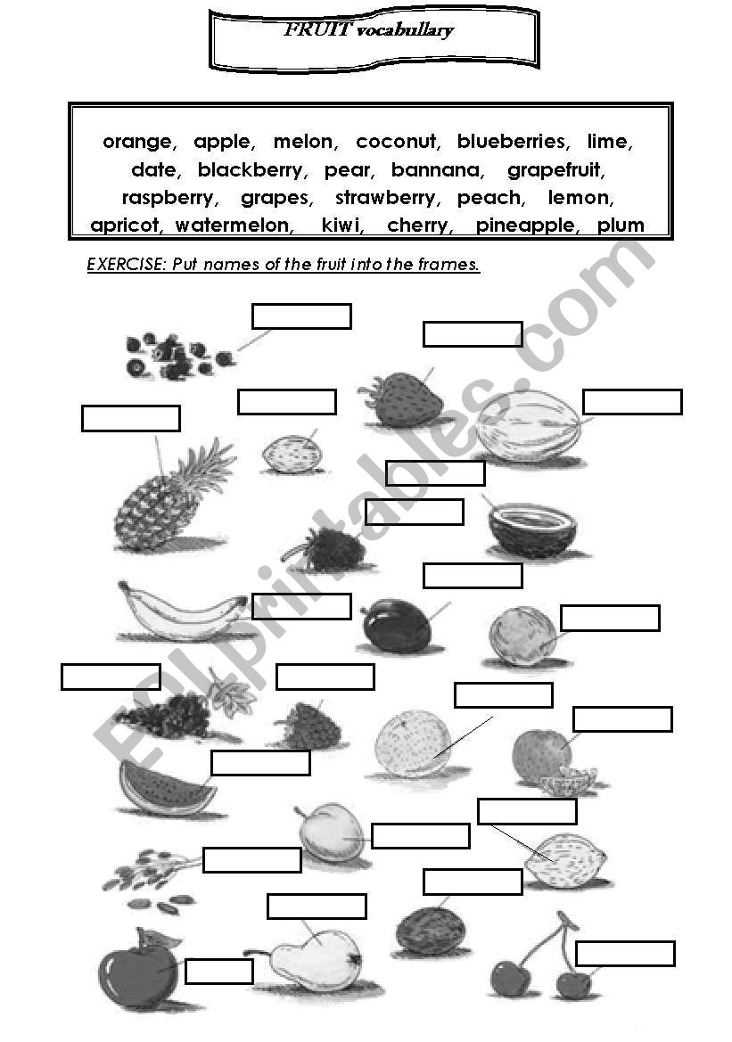 FRUIT B/W worksheet