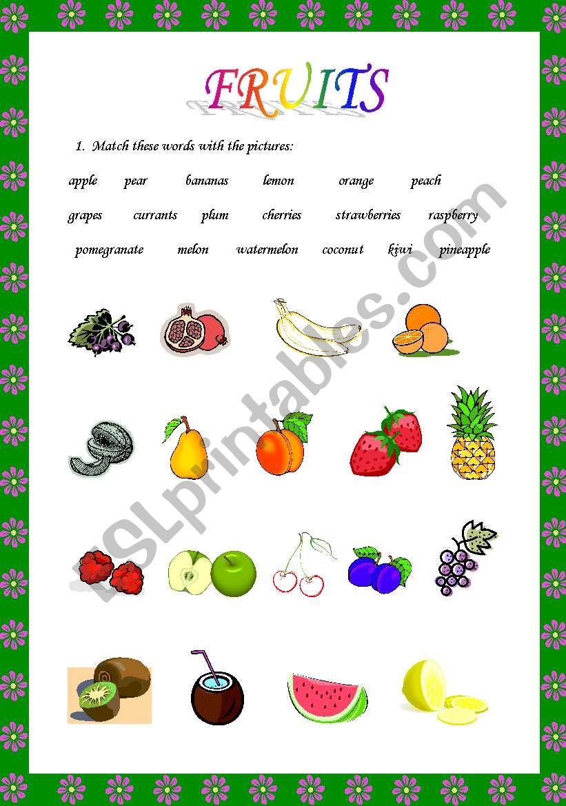 FRUITS worksheet