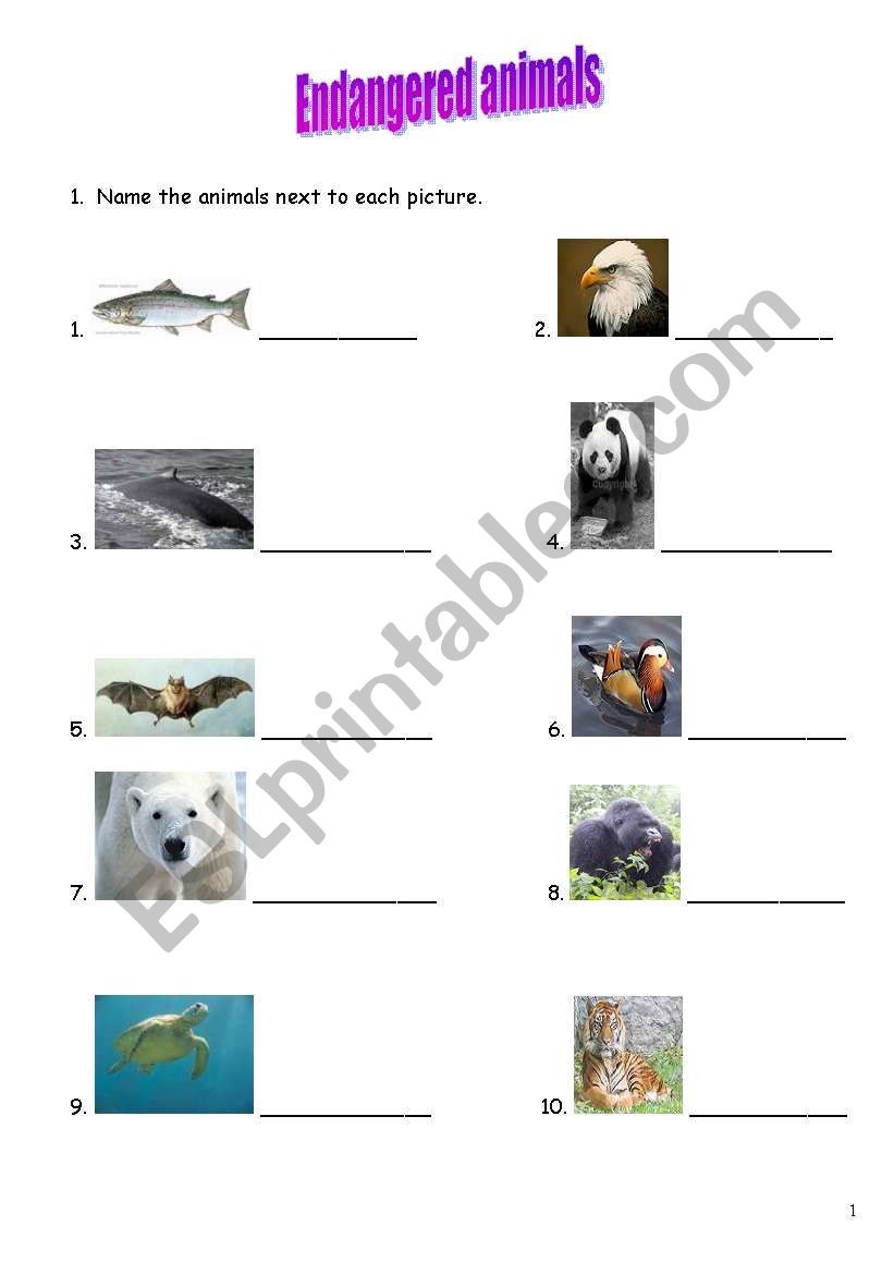 endangered animals+answer key worksheet