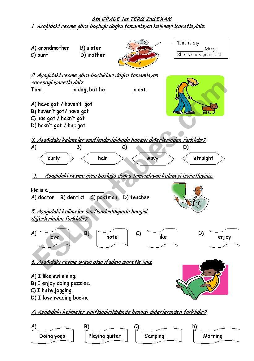 exam paper for 6th gade worksheet