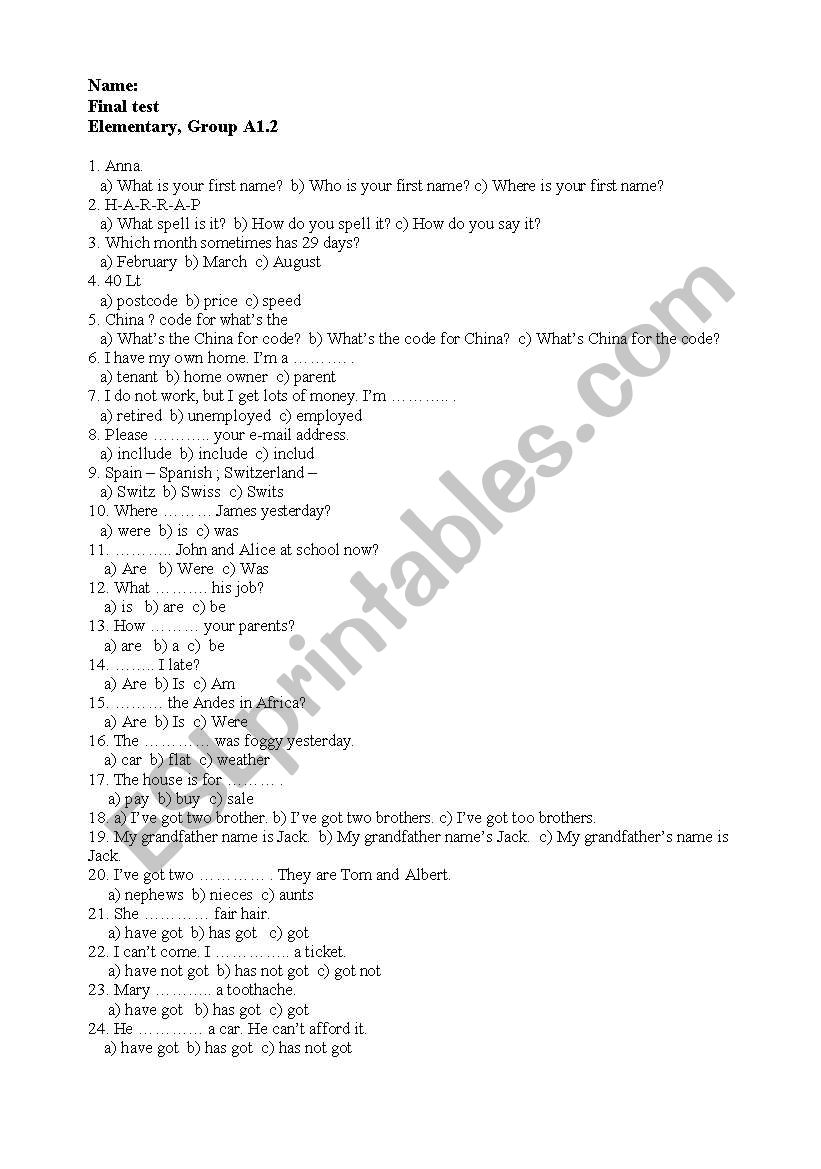 Grammar Revision Test worksheet