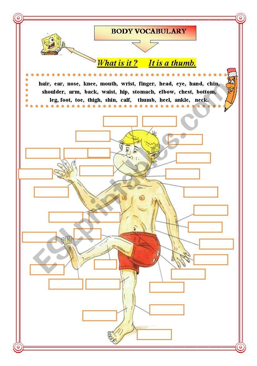 BODY VOCABULARY worksheet