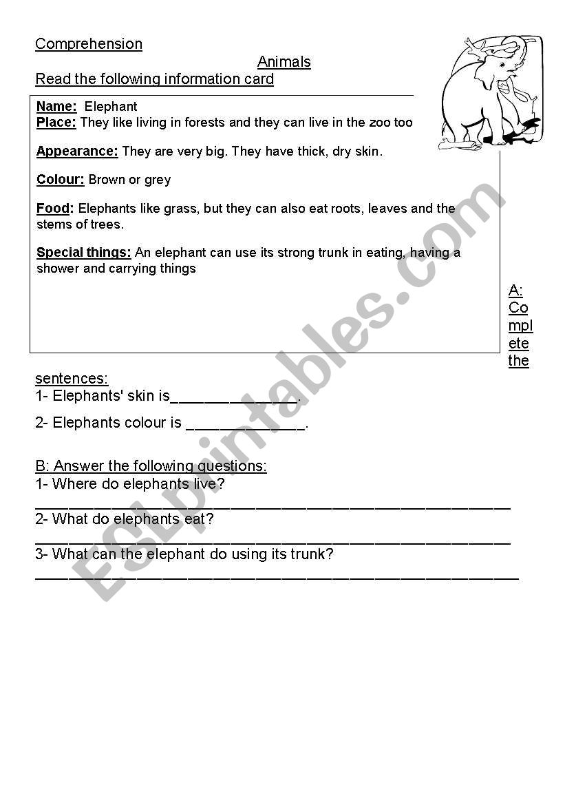 comprehension worksheet