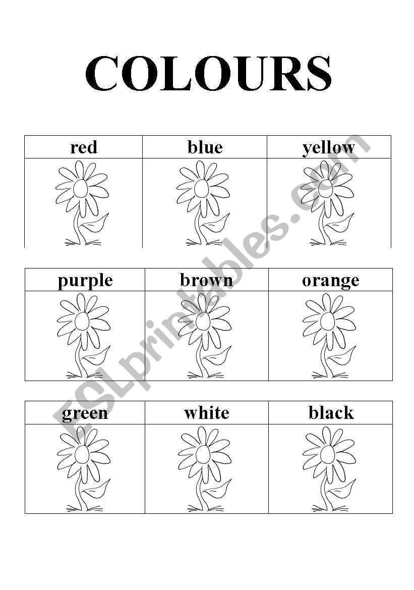 colours worksheet