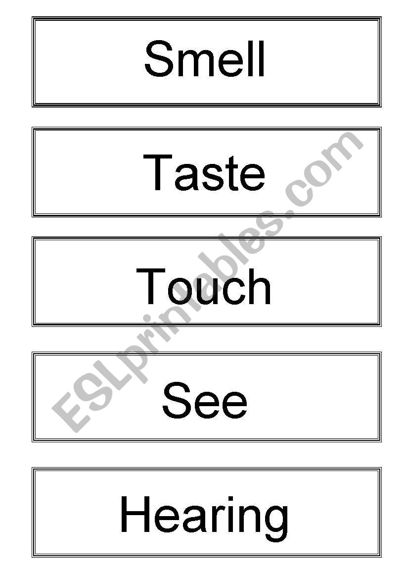 Senses worksheet