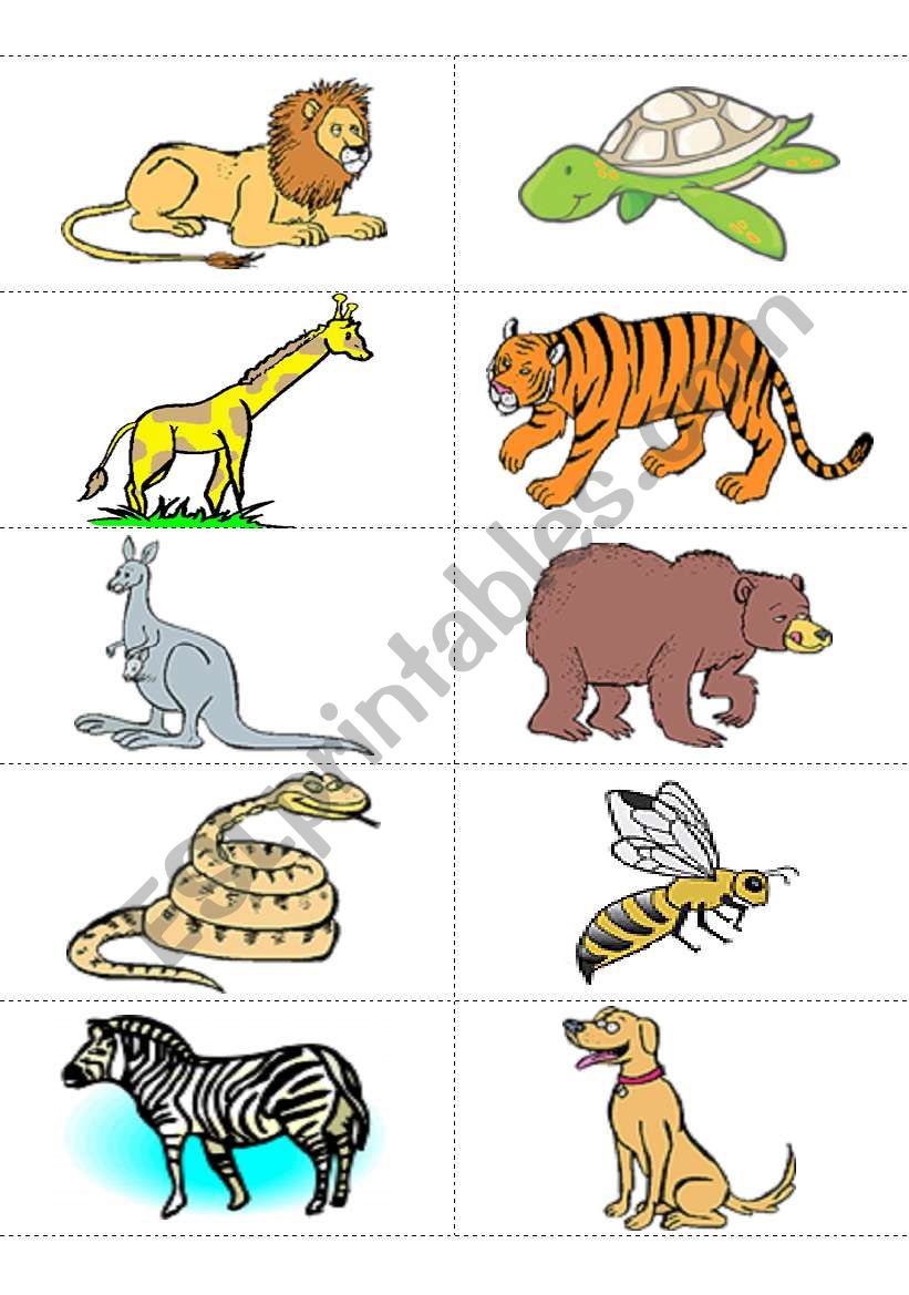 Animals Flashcards worksheet