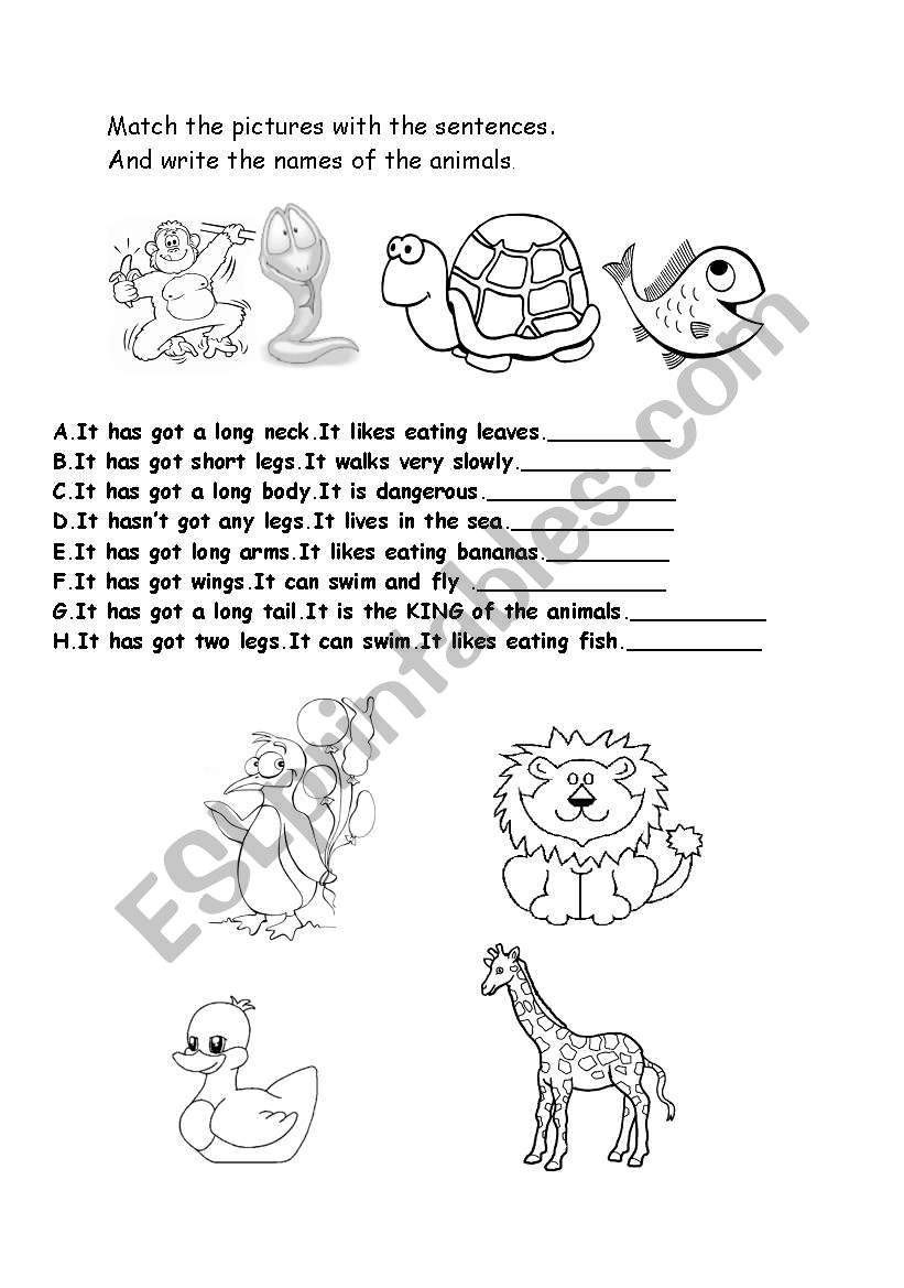 FIND THE NAMES OF THE ANIMALS worksheet