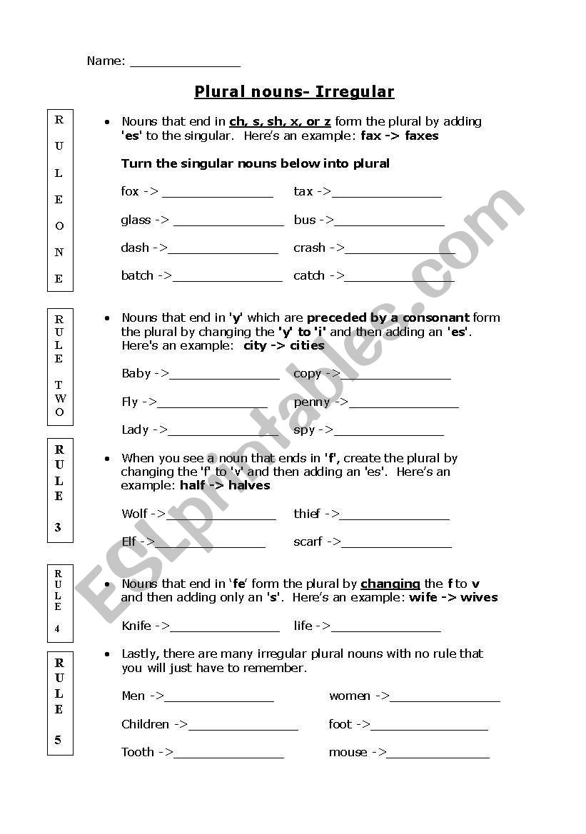 Plural Nouns-Irregular Worksheet