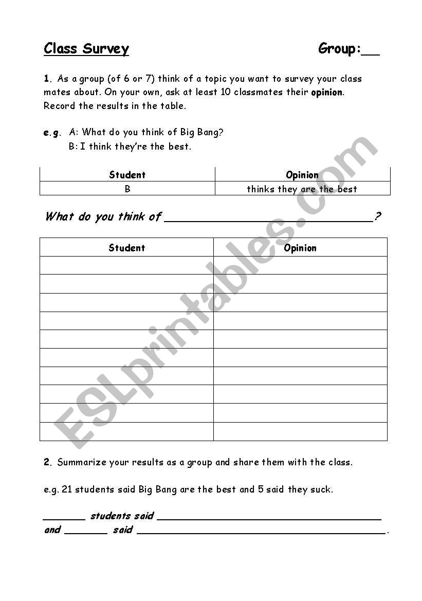 Class Opinion Survey worksheet