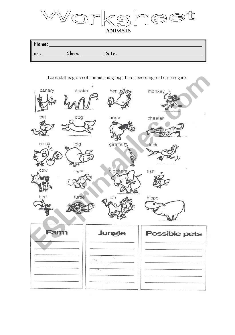 Animals worksheet