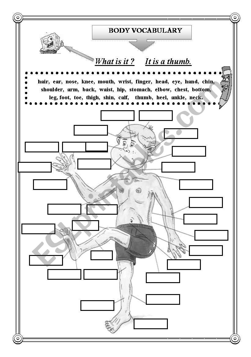 Body voc B/W worksheet