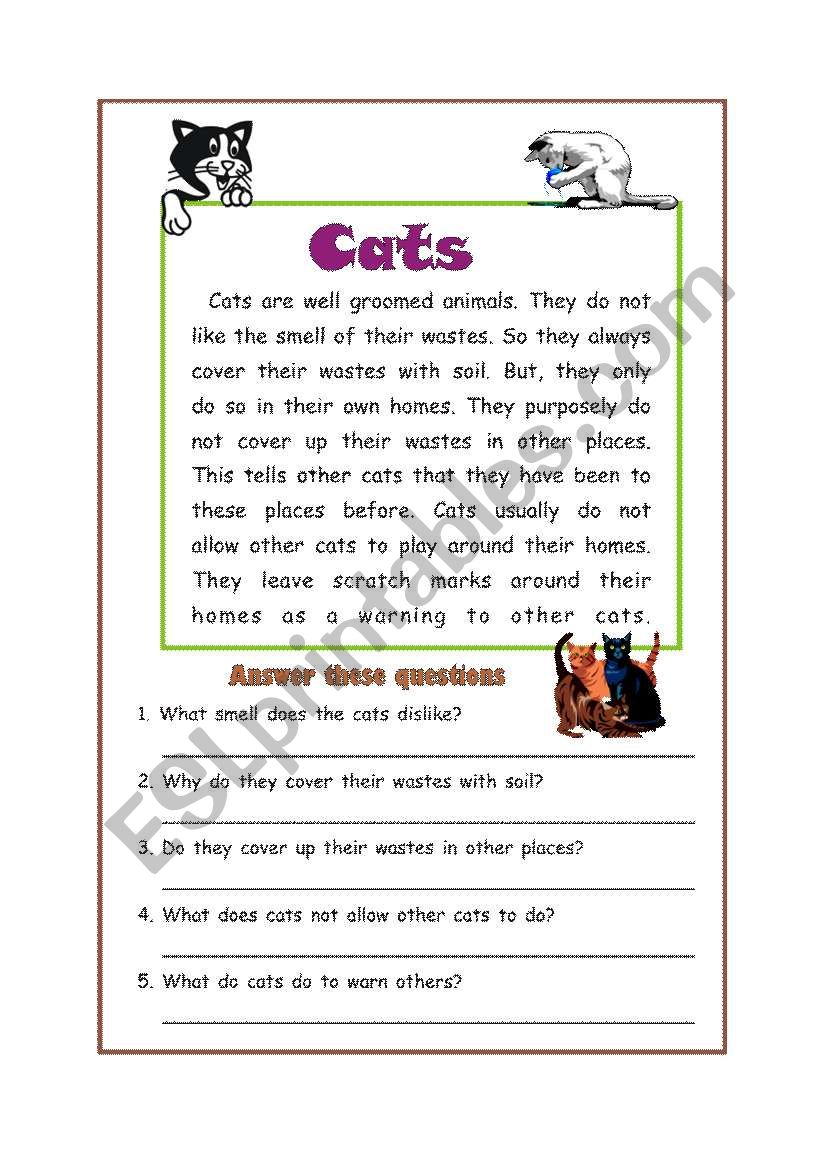 Reading Comprehension  worksheet