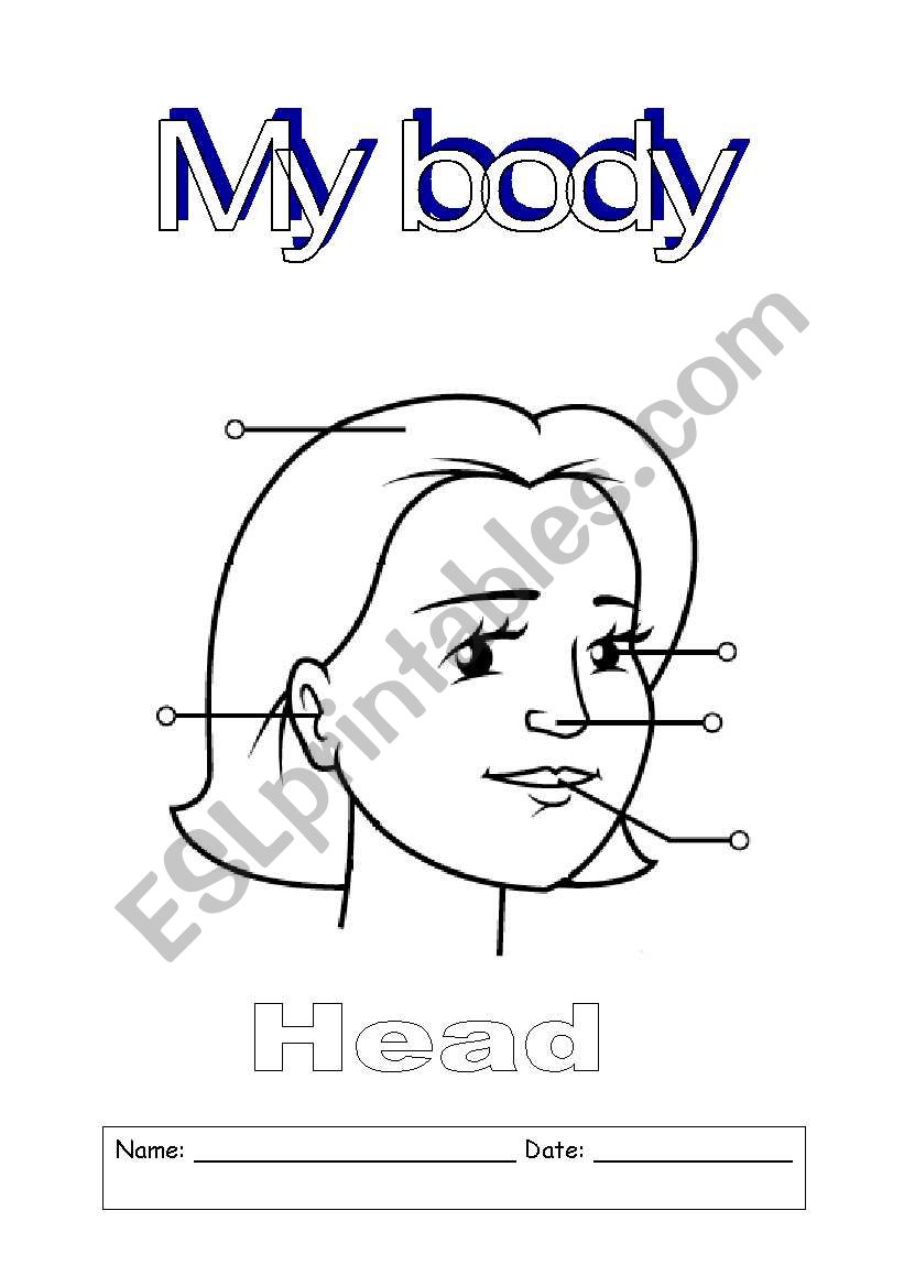 Head - My Body worksheet