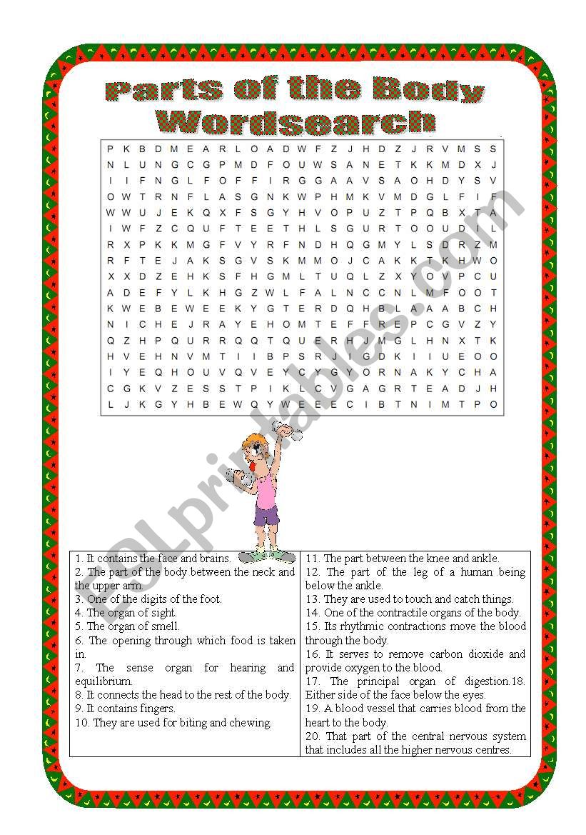 Parts of the body Wordsearch - intermediate 
