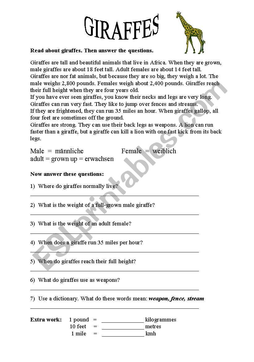 Giraffes worksheet