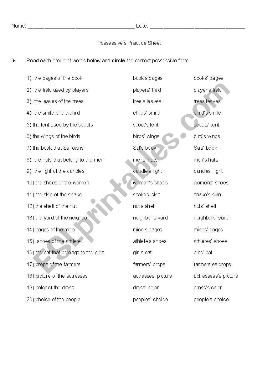 possessives practice worksheet