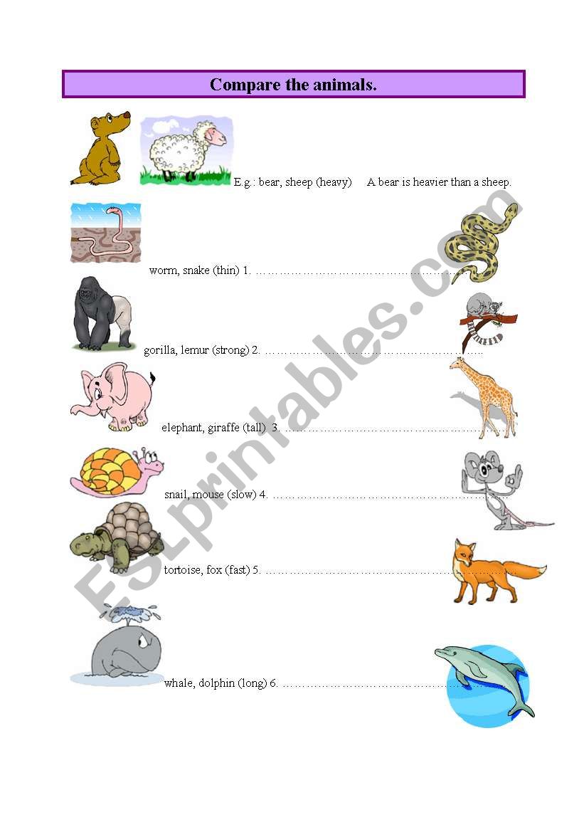 Compare the animals -Comparative