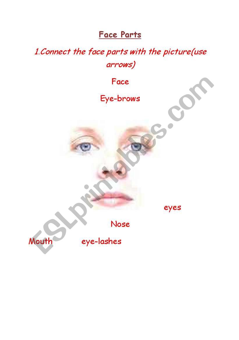 Face parts  worksheet