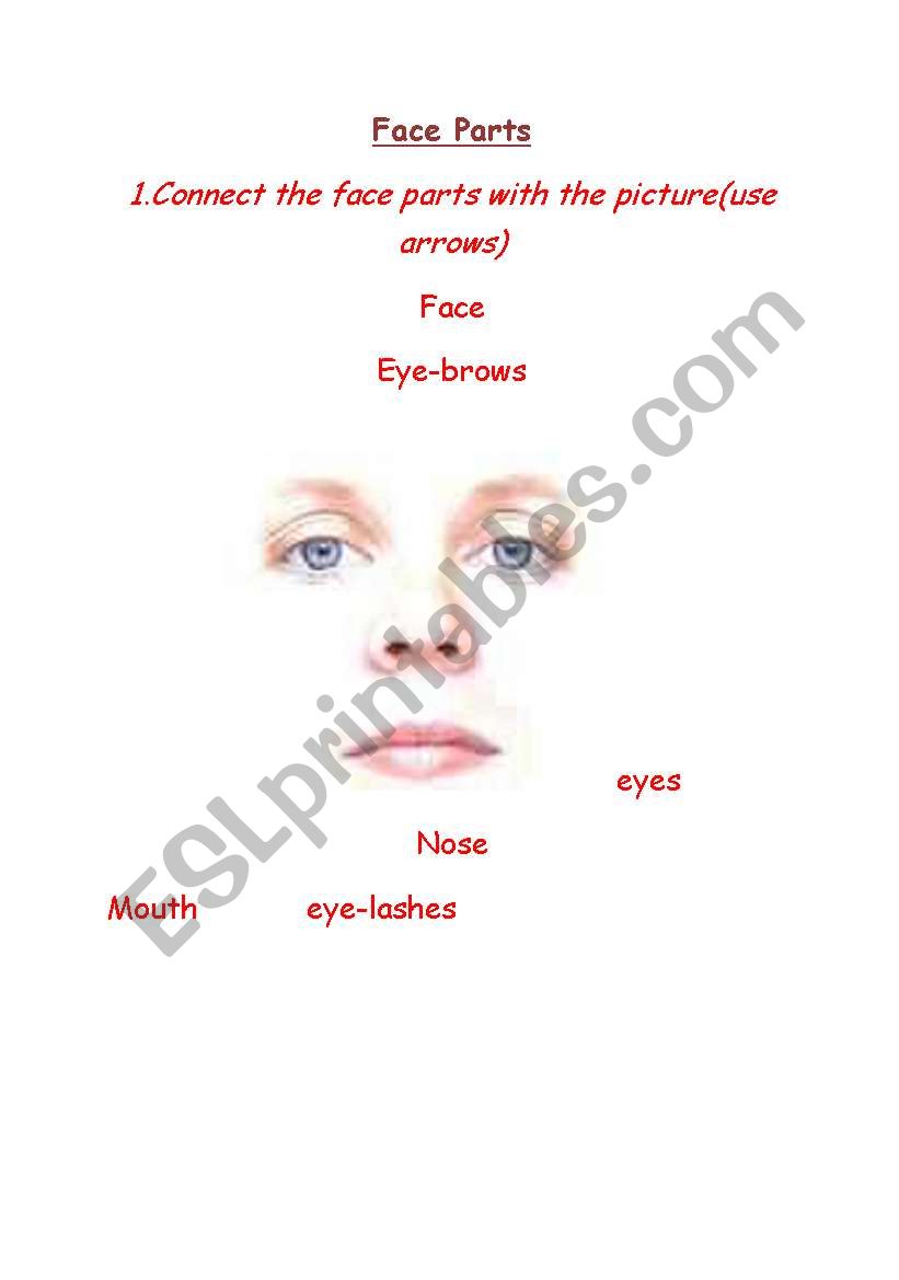 Face parts  worksheet