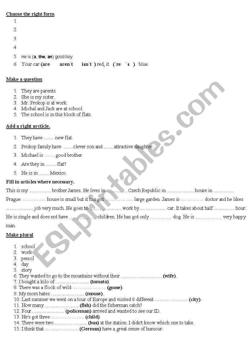 Articles and plural worksheet