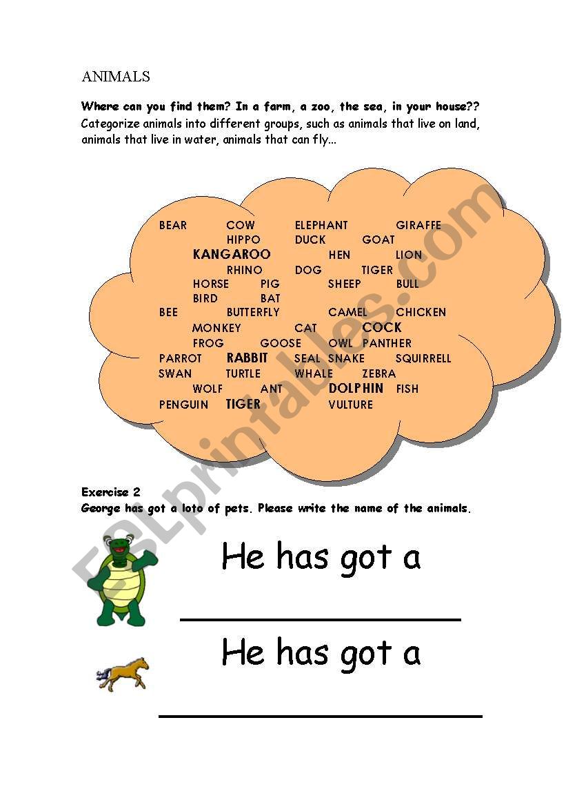 ANIMALS worksheet